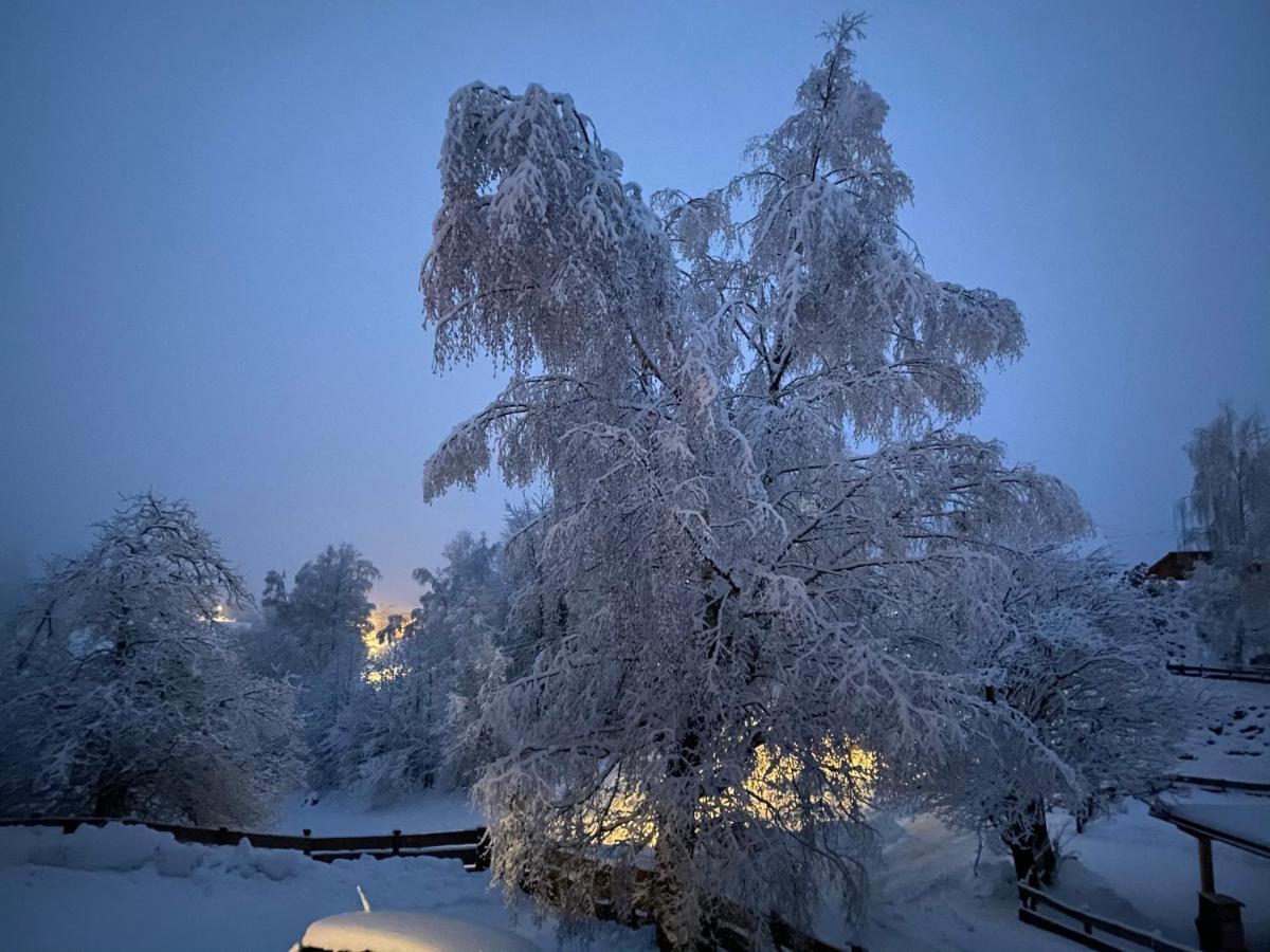 Appartamento Bei Annelie Krakaudorf Esterno foto